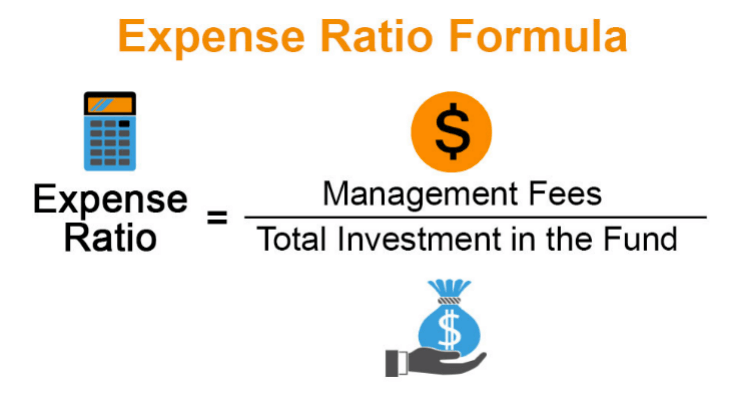 Why Should Investors Care About Expense Ratios?